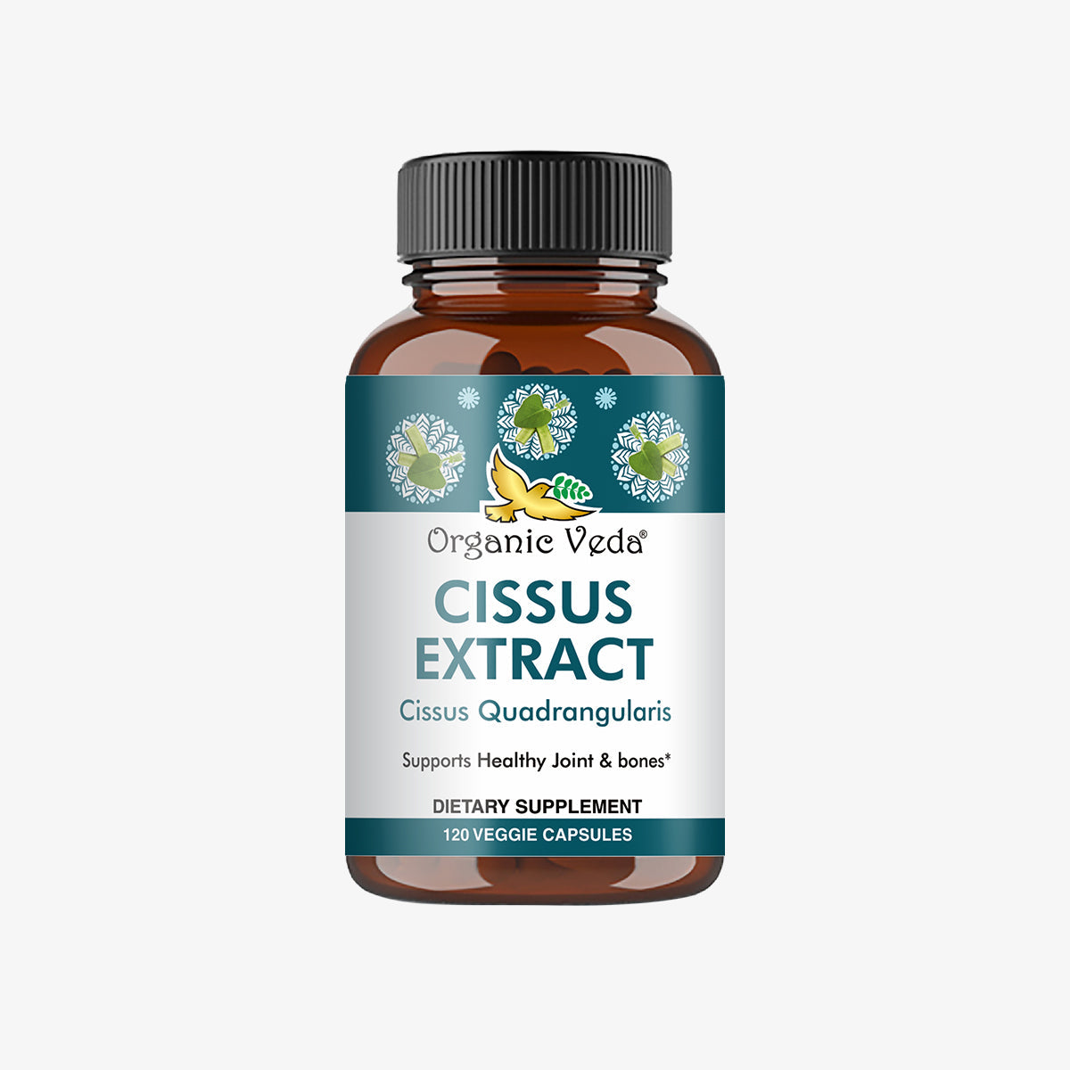 Cissus Extract Capsules OrganicVeda