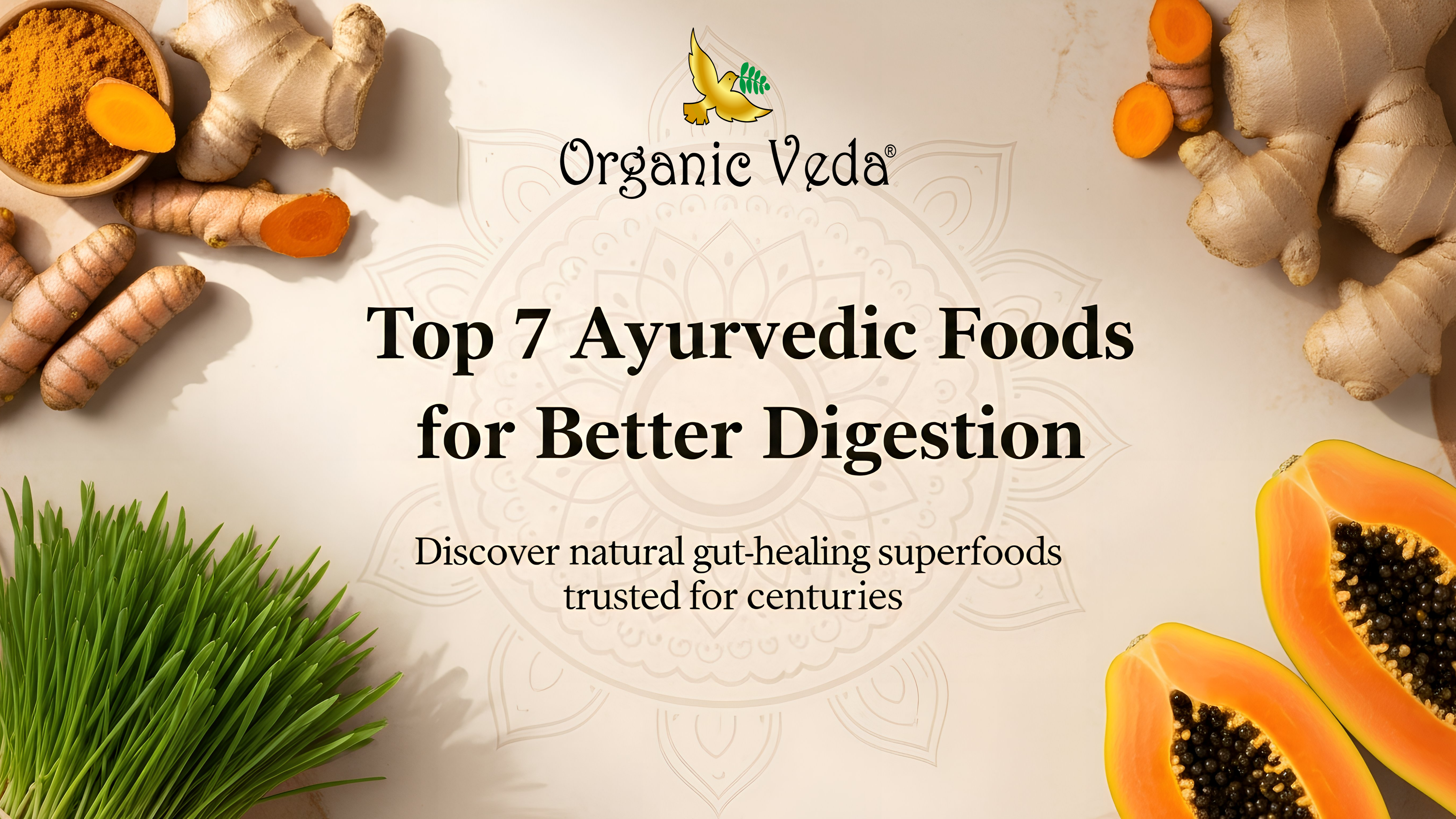 Top-7-Ayurvedic-Foods-for-Better-Digestion-in-the-USA Organicveda