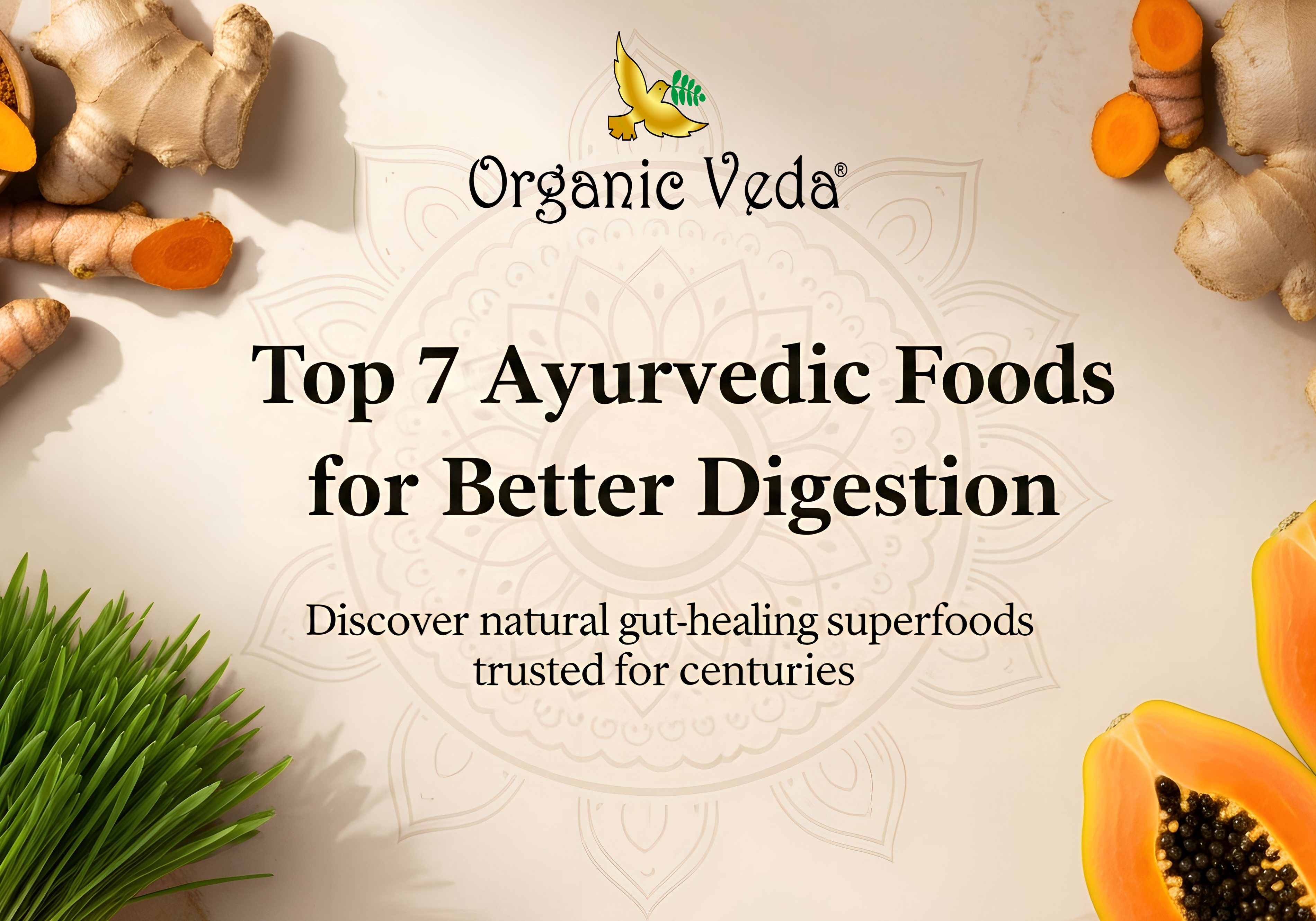 Top-7-Ayurvedic-Foods-for-Better-Digestion-in-the-USA Organicveda
