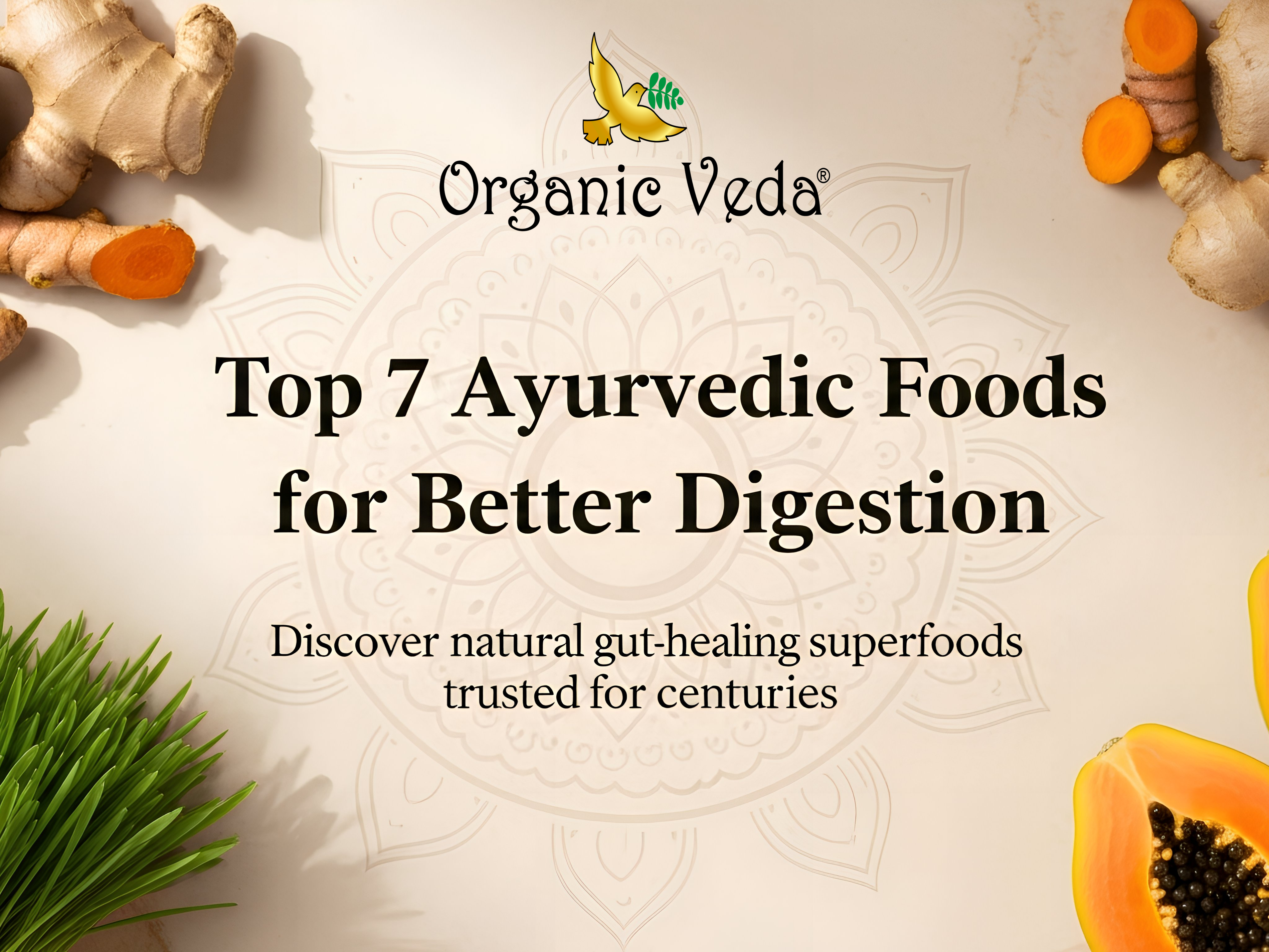 Top-7-Ayurvedic-Foods-for-Better-Digestion-in-the-USA Organicveda