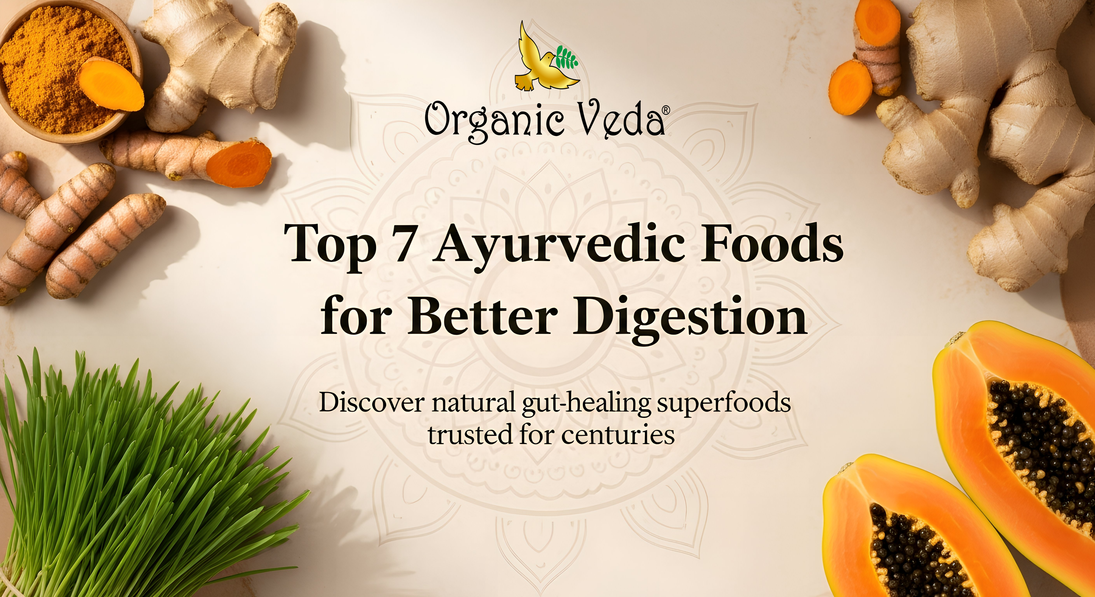 Top-7-Ayurvedic-Foods-for-Better-Digestion-in-the-USA Organicveda