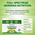 Moringa Original Tea OrganicVeda USA