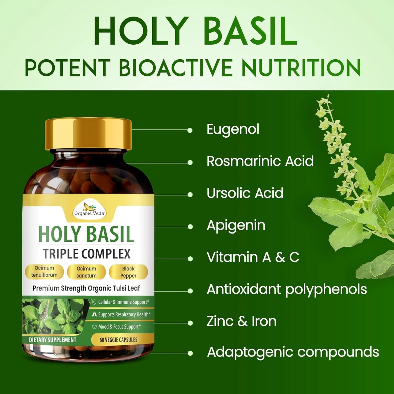 Holy Basil Triple Complex