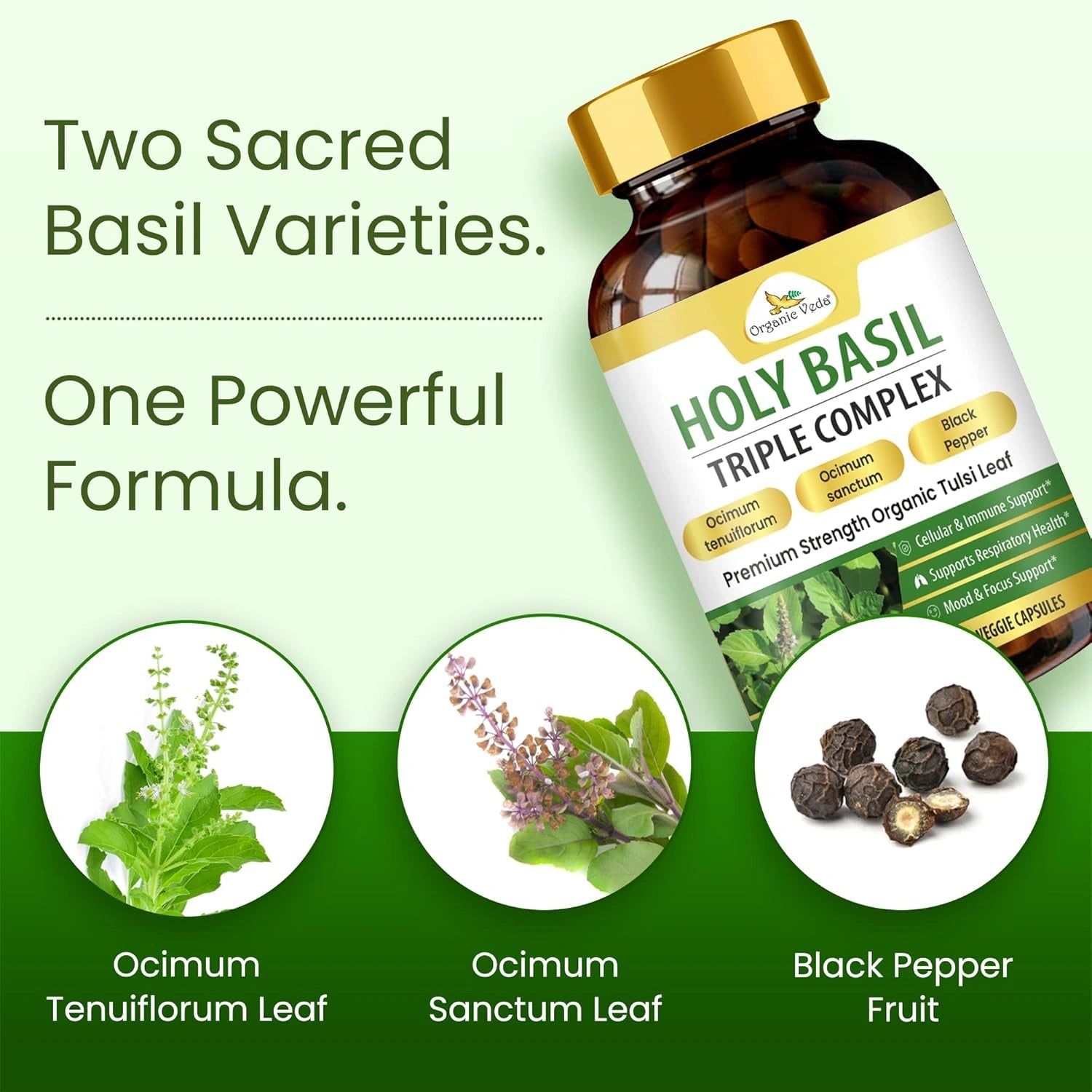 Holy Basil Triple Complex