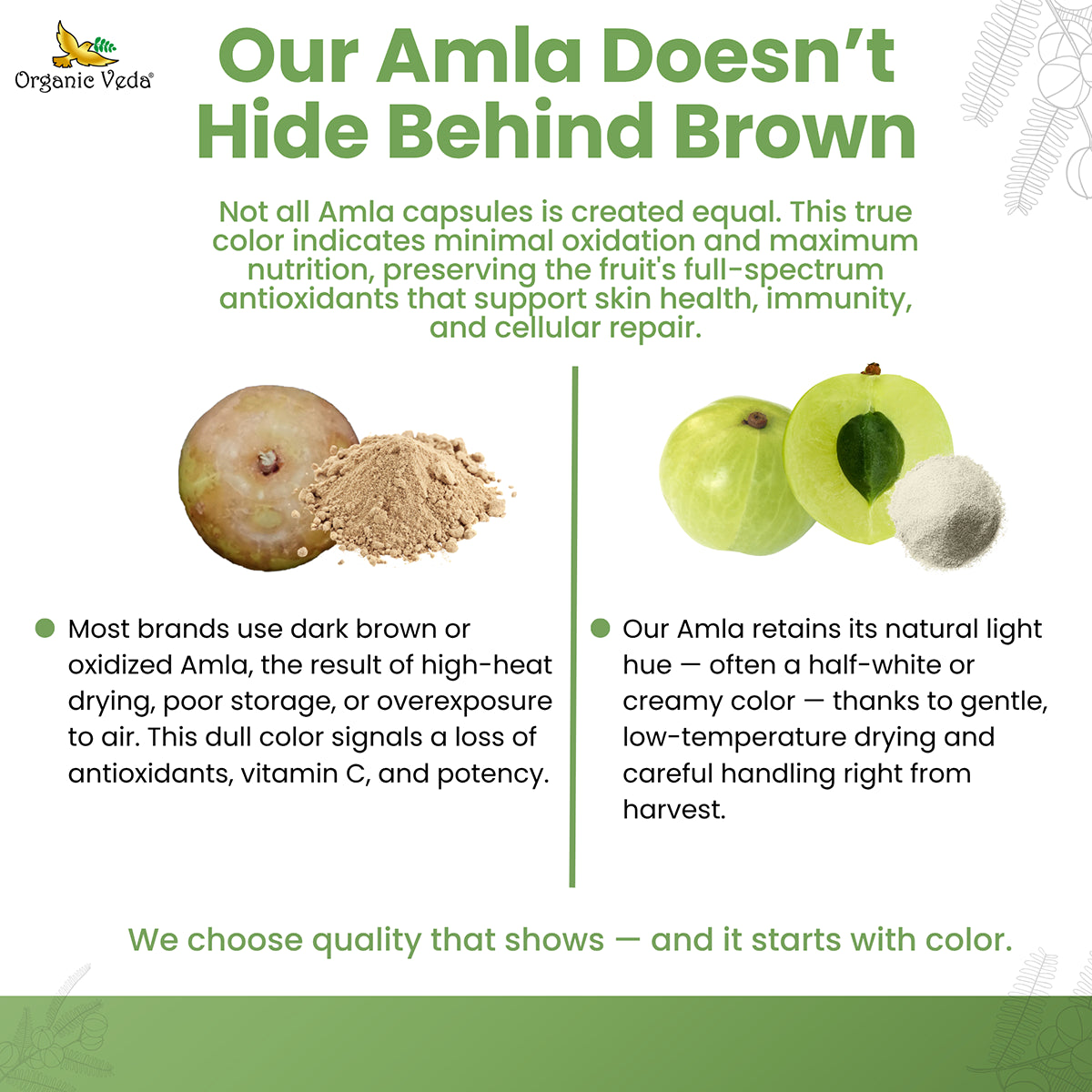 Amla Fruit Capsules