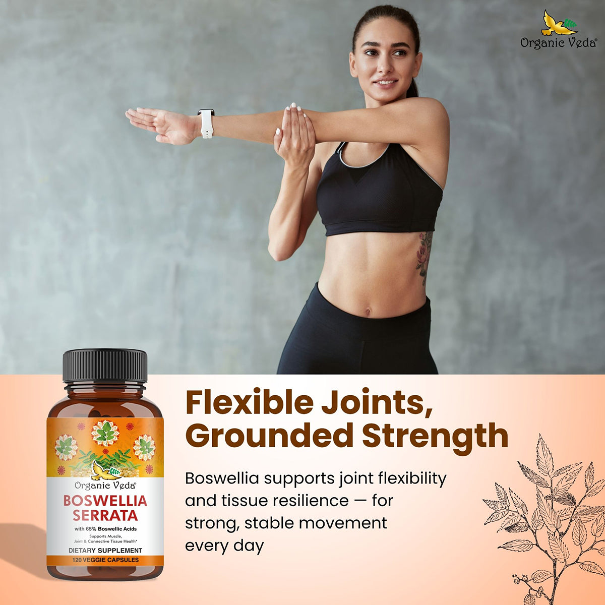 Boswellia Serrata Capsules Organicveda