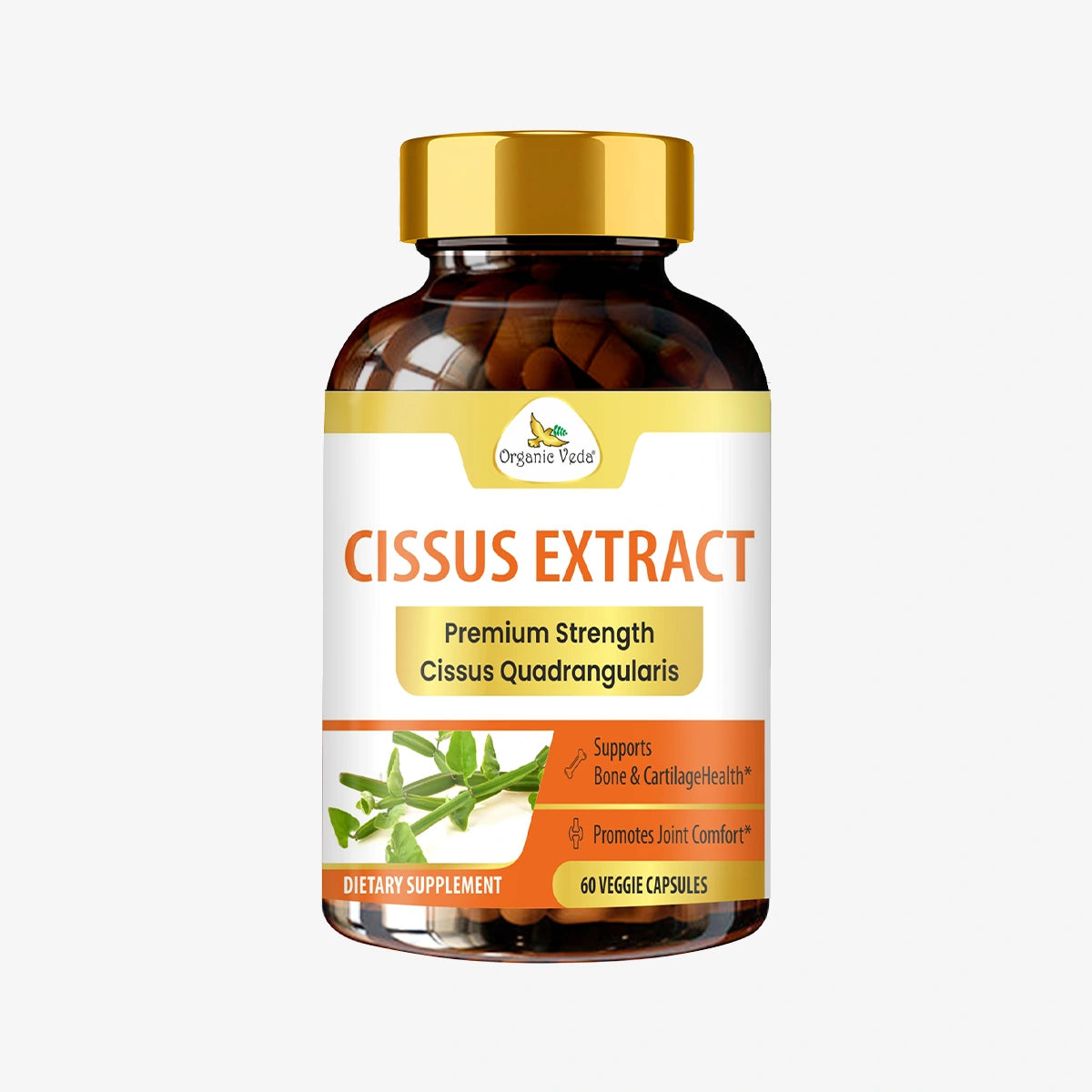 Cissus Extract Capsules