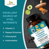 Elderberry Turmeric Chlorophyll Immune Capsules OrganicVeda