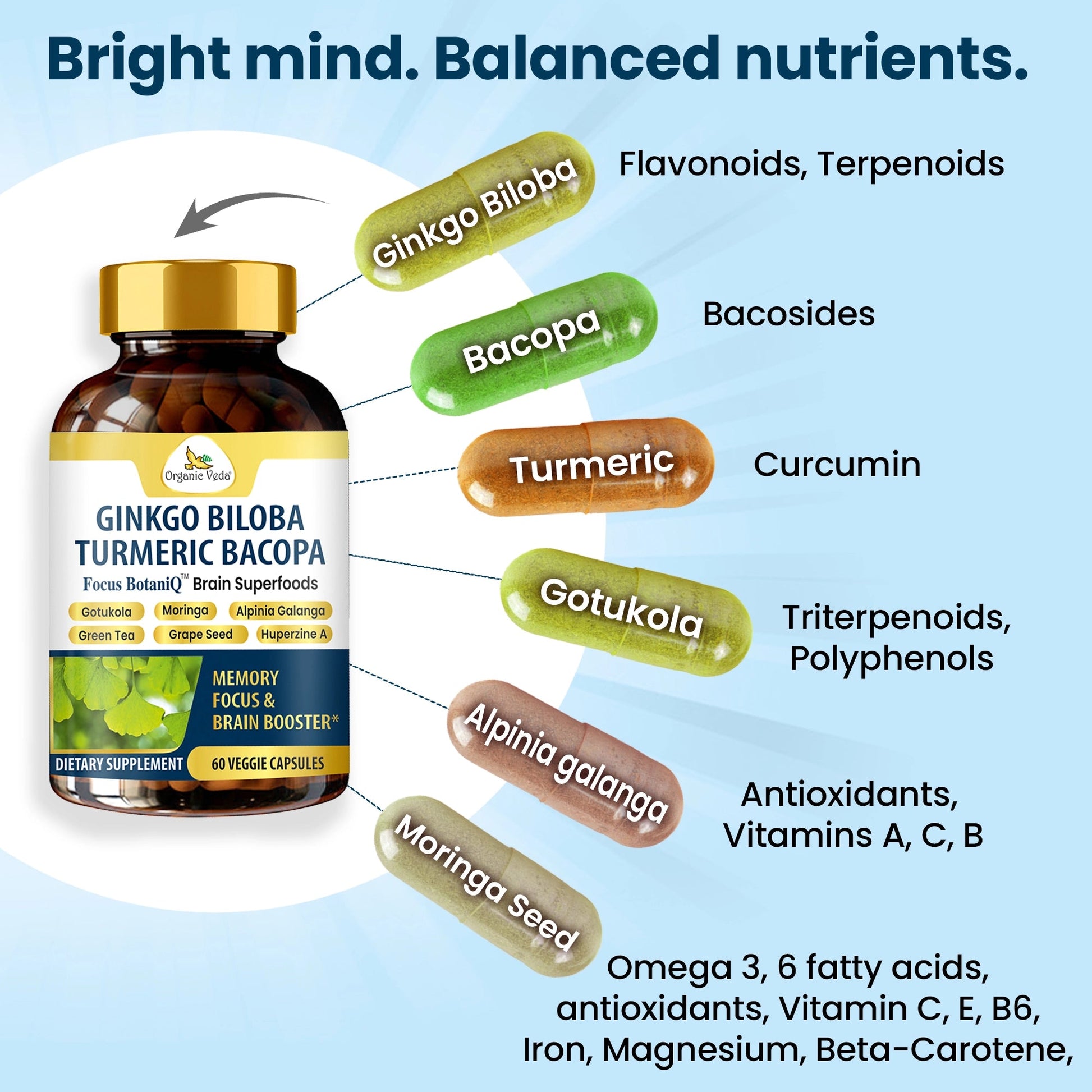 Ginkgo Biloba Turmeric Bacopa Capsules OrganicVeda USA