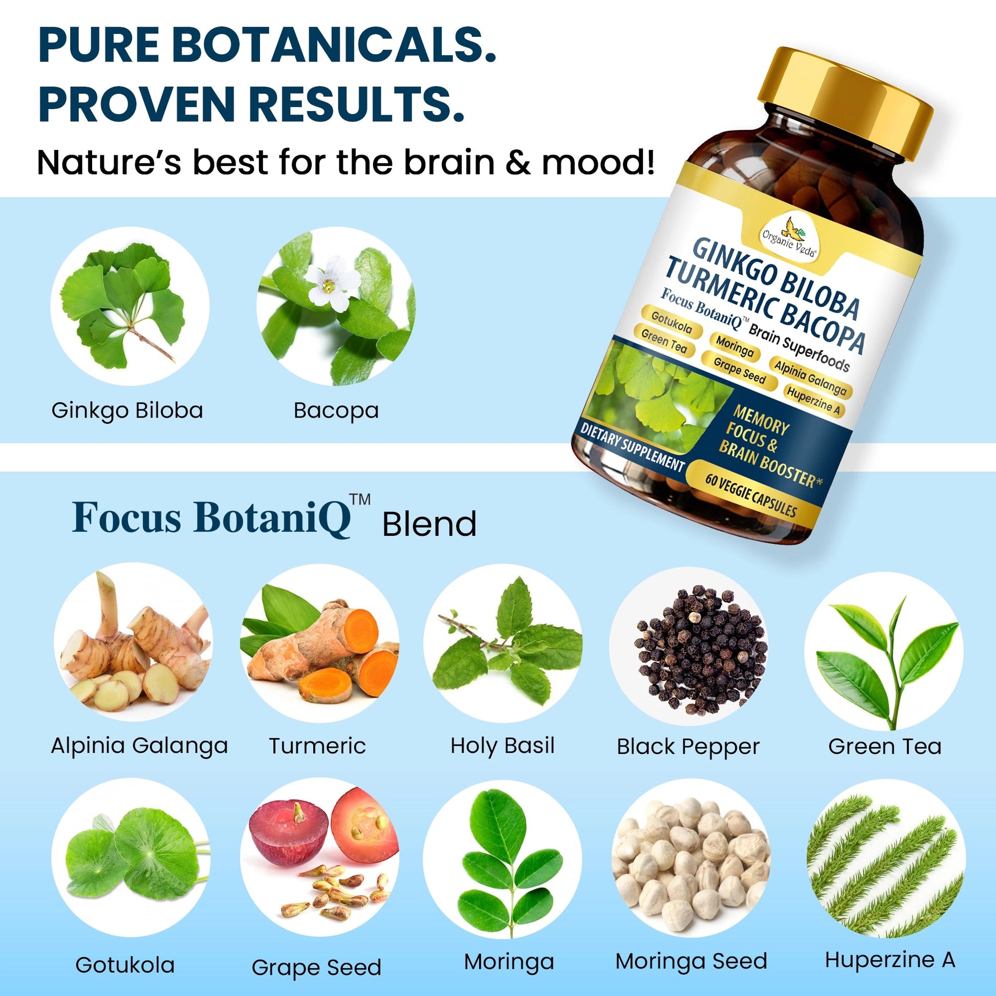 Ginkgo Biloba Turmeric Bacopa Capsules OrganicVeda USA