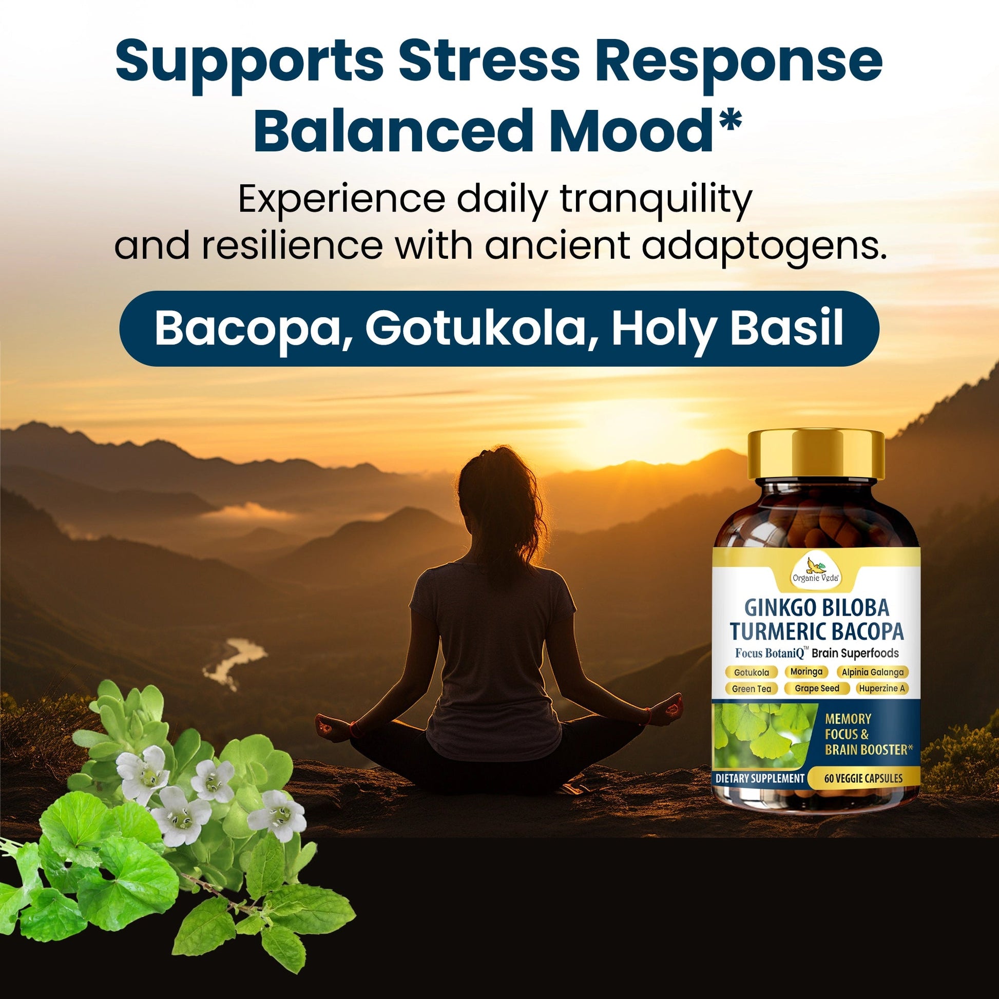 Ginkgo Biloba Turmeric Bacopa Capsules OrganicVeda USA