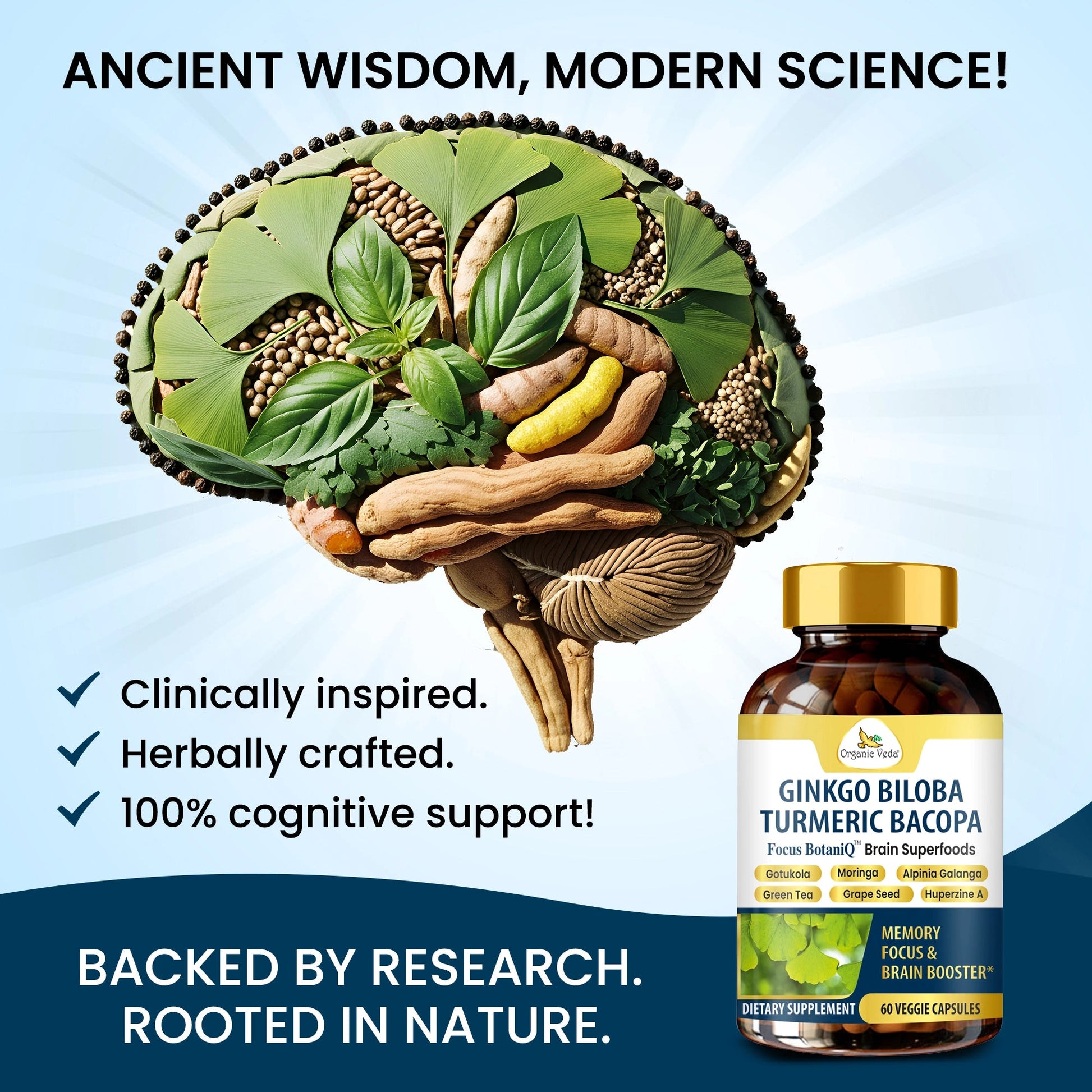 Ginkgo Biloba Turmeric Bacopa Capsules OrganicVeda USA