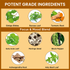 Ginkgo Biloba Turmeric Bacopa Capsules OrganicVeda