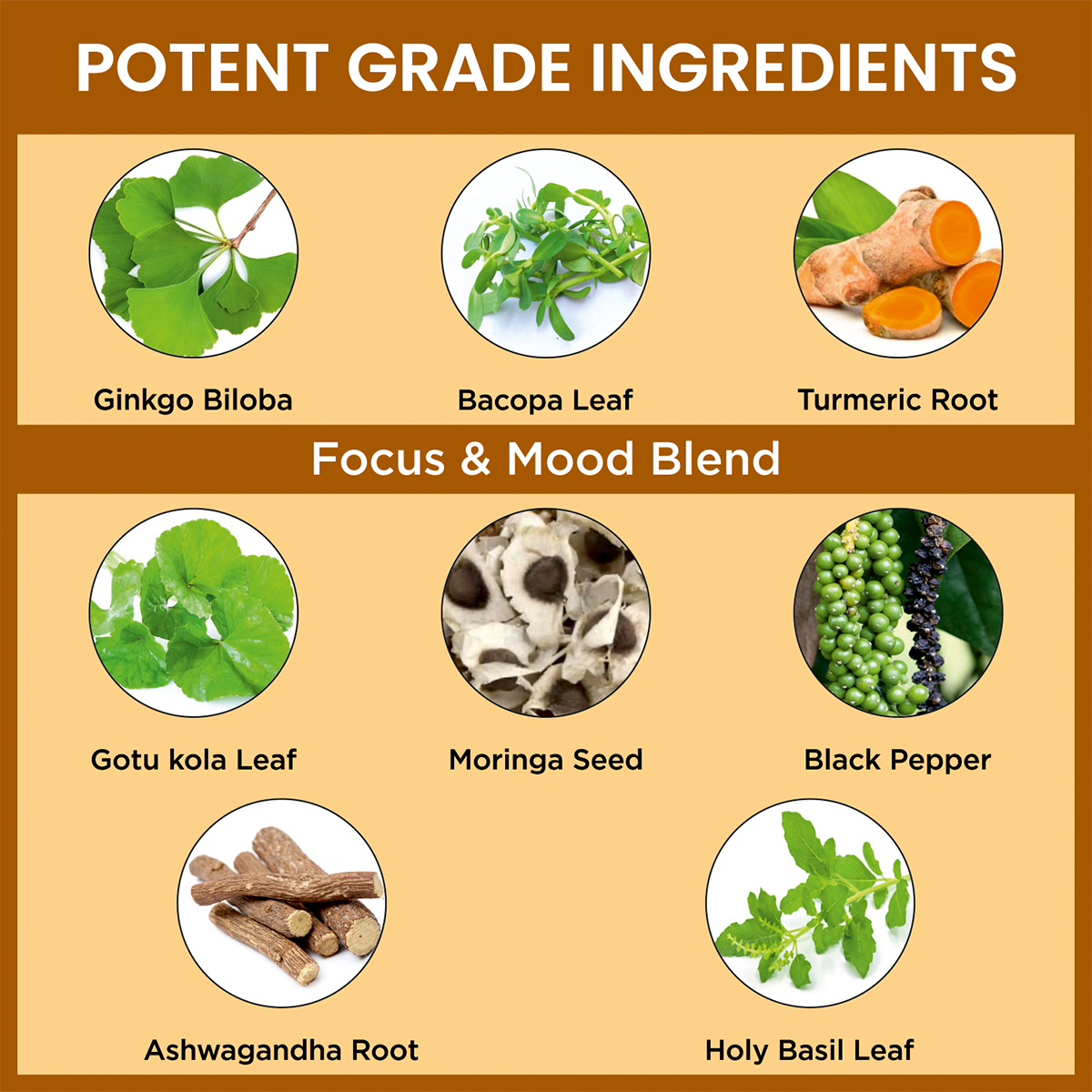 Ginkgo Biloba Turmeric Bacopa Capsules
