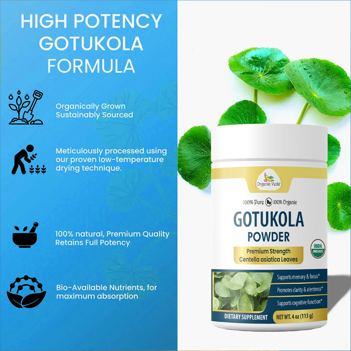Gotu Kola Powder