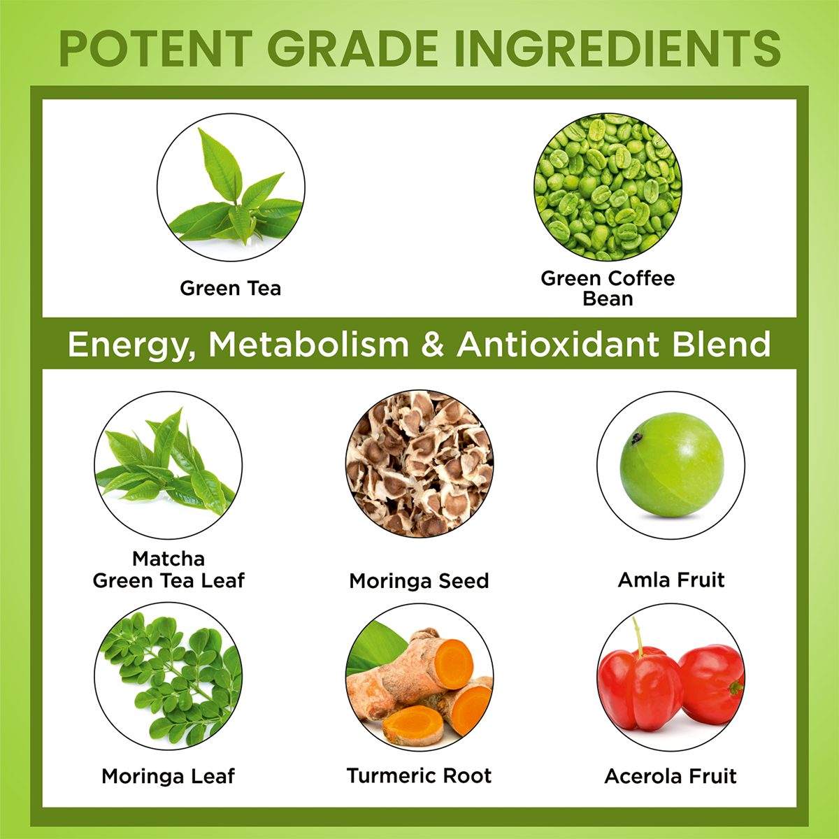 Green Tea Extract Moringa Matcha Capsules