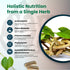 Guduchi Capsules OrganicVeda