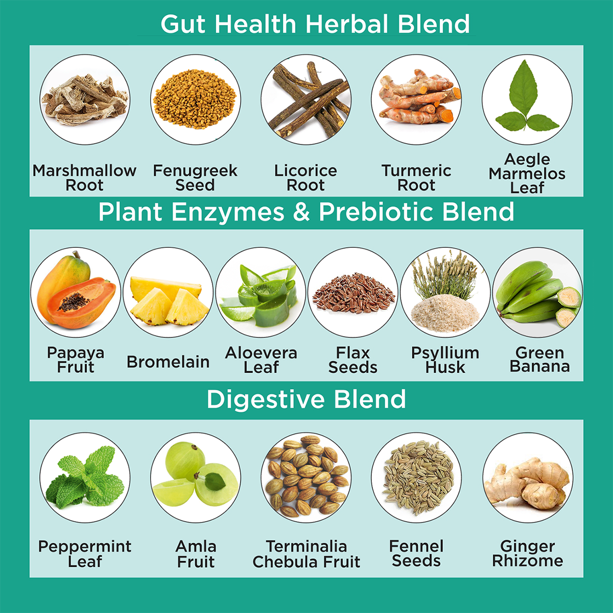 Gut Health Leaky Gut Repair Capsules