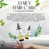 Raise Hair Growth Serum OrganicVeda