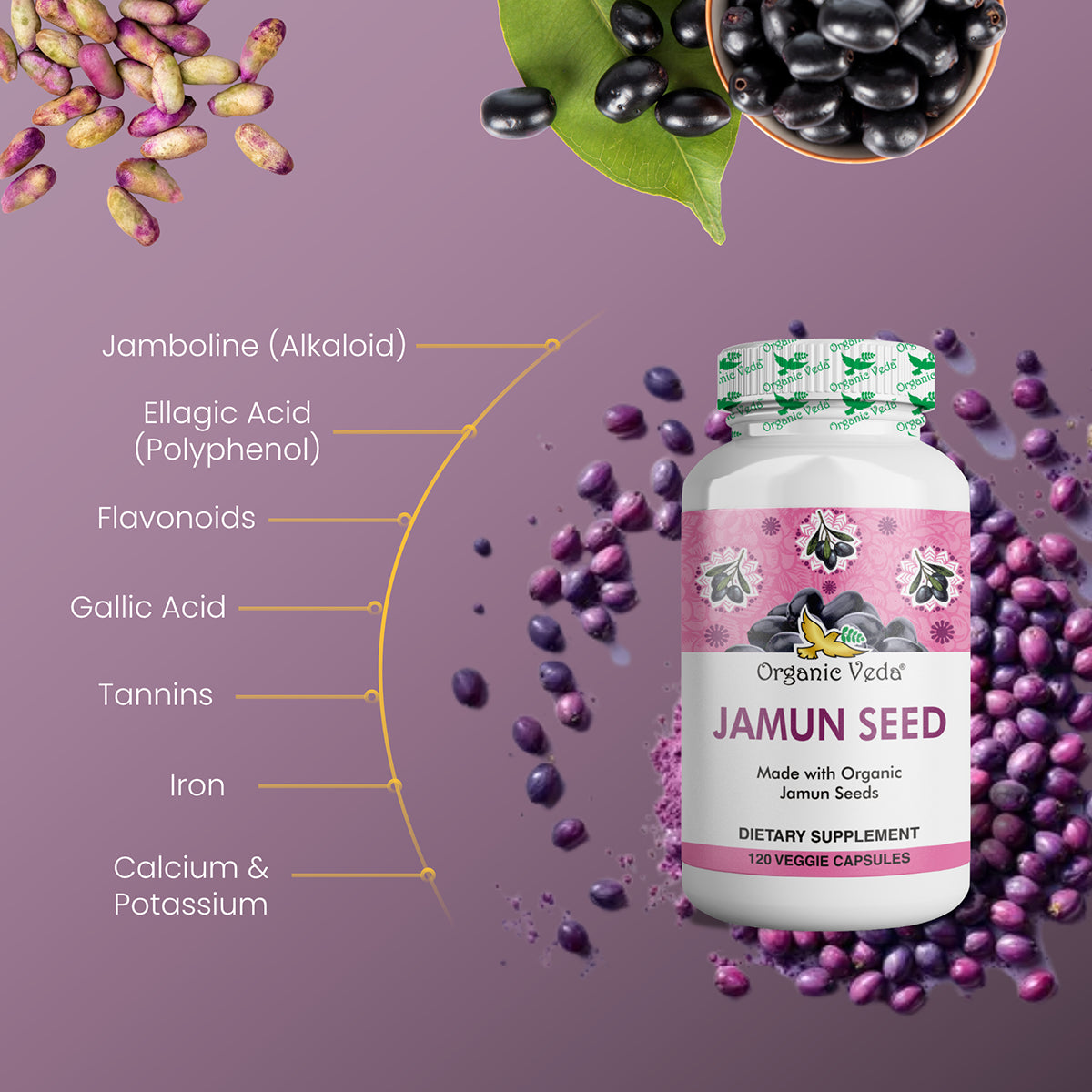 Jamun Seed Capsules