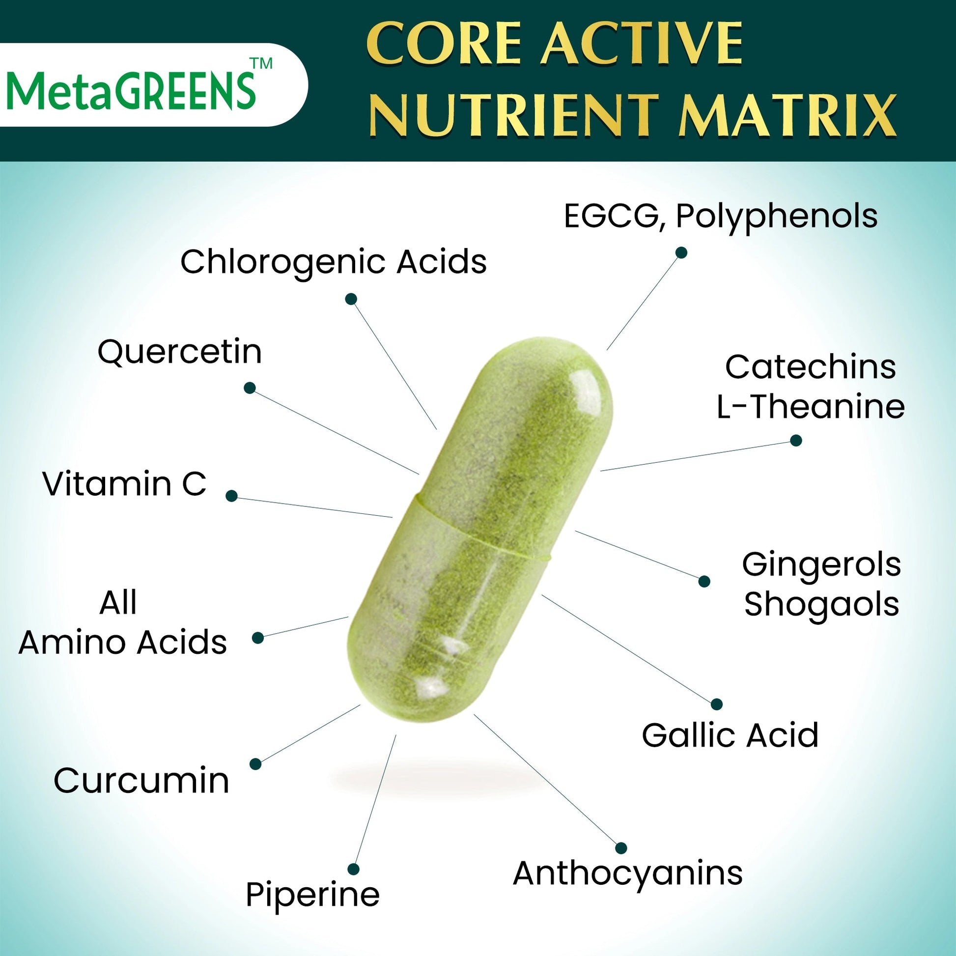 Green Tea Extract Moringa Matcha Capsules OrganicVeda USA