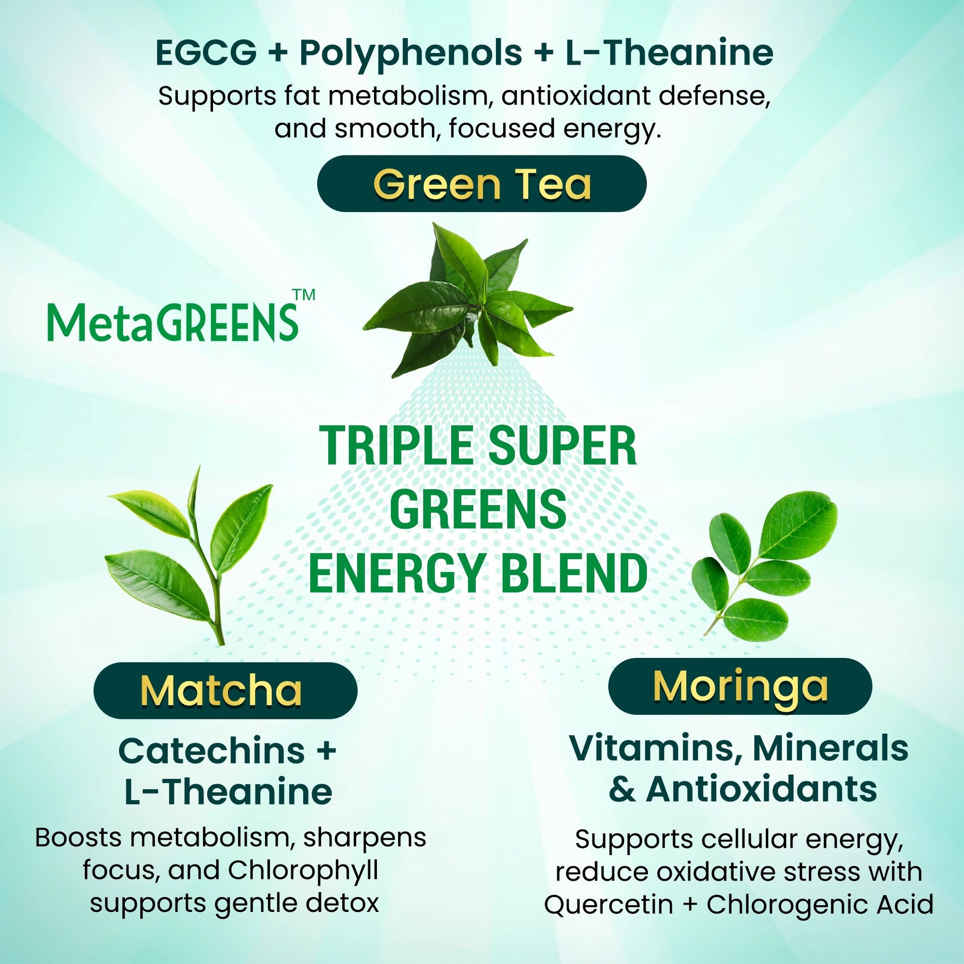 Green Tea Extract Moringa Matcha Capsules OrganicVeda USA