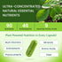 Moringa Capsules OrganicVeda USA