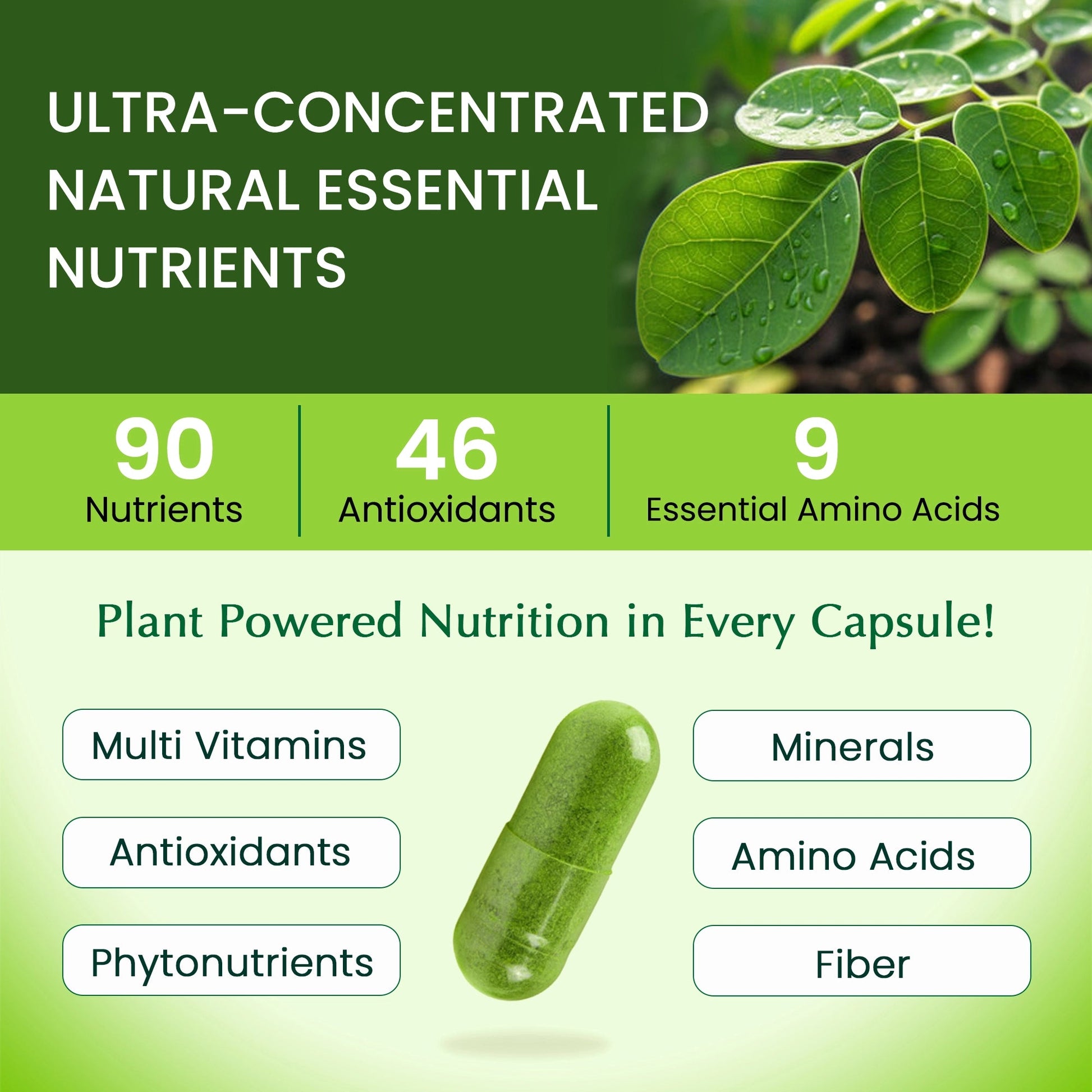 Moringa Capsules OrganicVeda USA