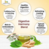 Moringa Ginger Digestive Tea Bags OrganicVeda