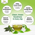 Moringa Green Tea Bags OrganicVeda