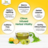 Moringa Lemon Amla Tea Bags OrganicVeda