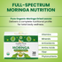 Moringa Original Tea OrganicVeda