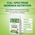 Moringa Tea OrganicVeda