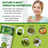 Moringa Leaf Powder OrganicVeda