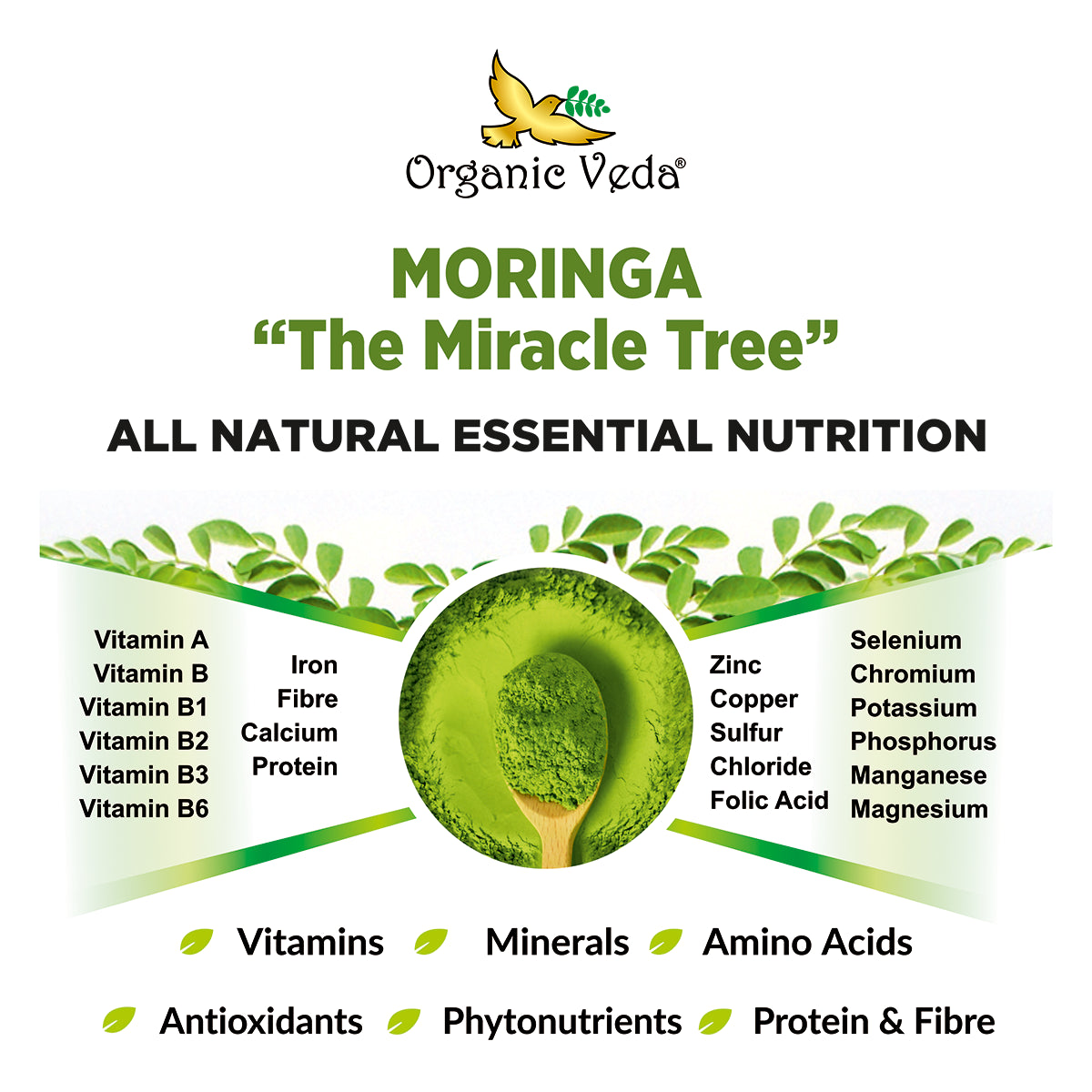 Moringa Leaf Powder