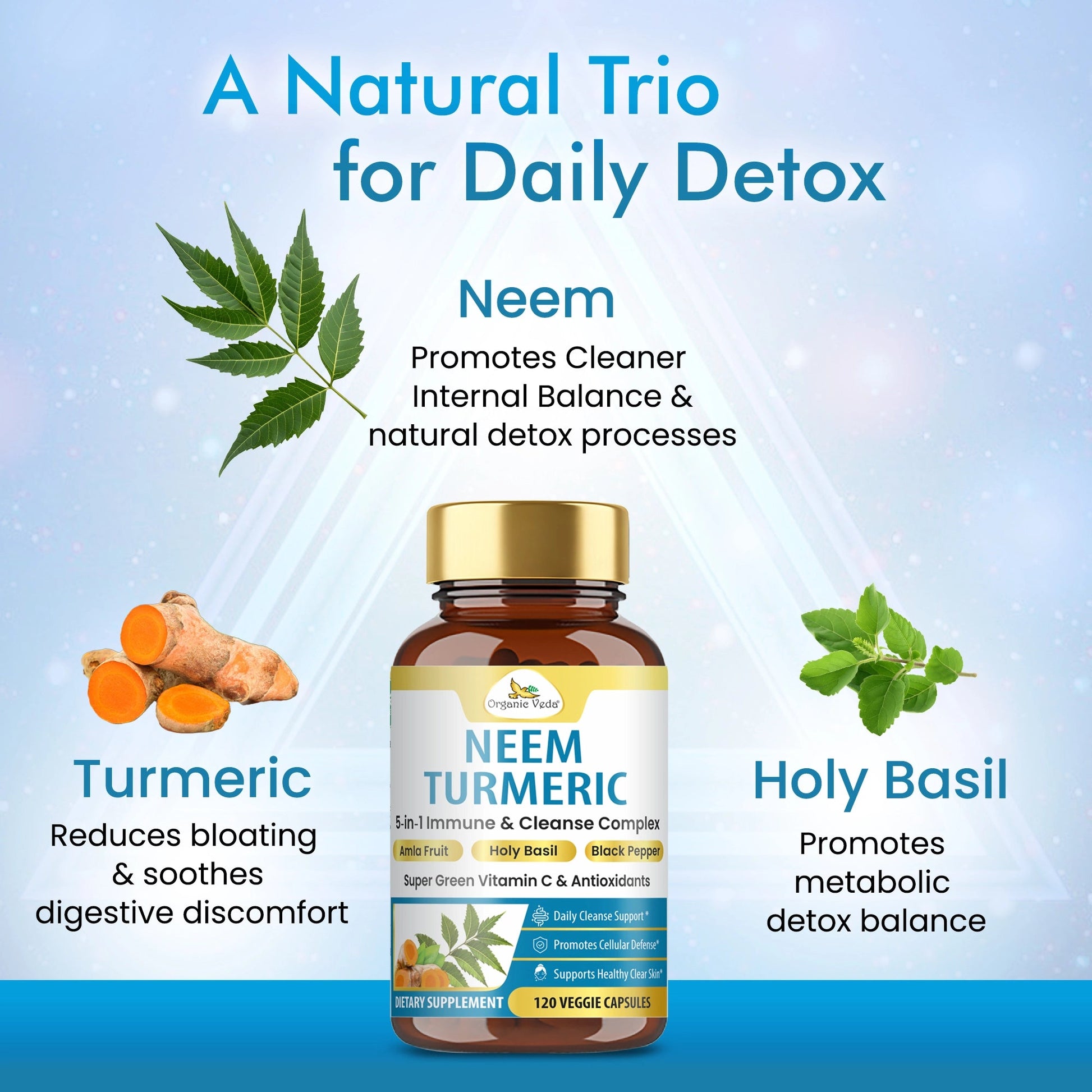 Neem & Turmeric Immune Support Capsules OrganicVeda USA