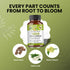 Neem Triple Complex Capsules OrganicVeda