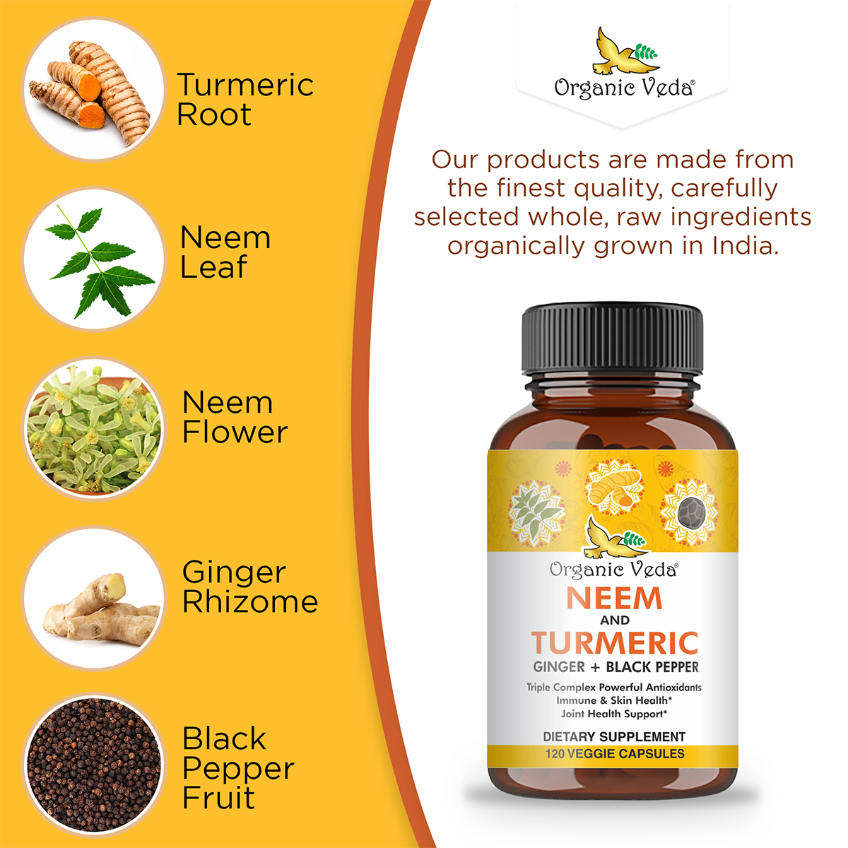 Turmeric Ginger Capsules