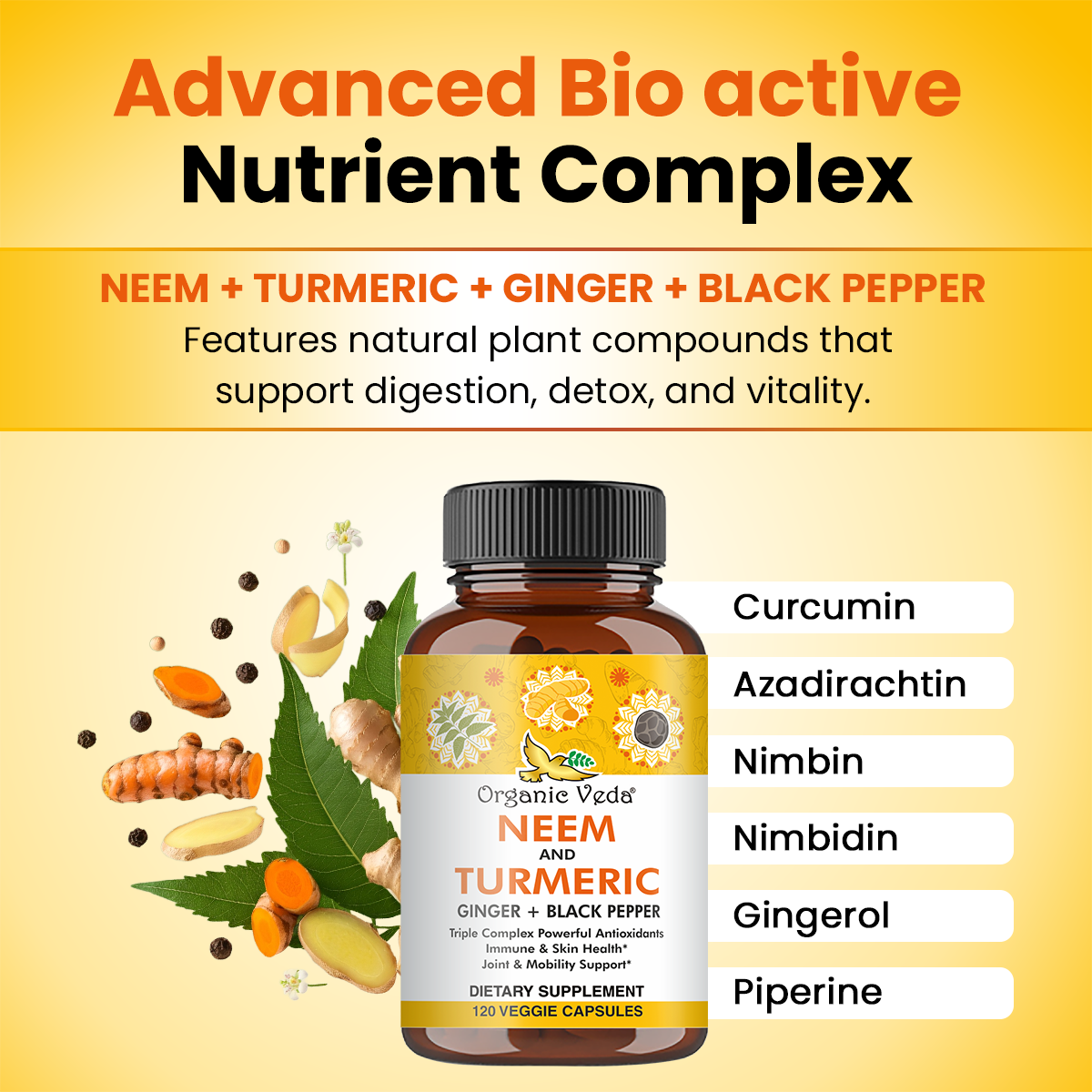 Turmeric Ginger Capsules