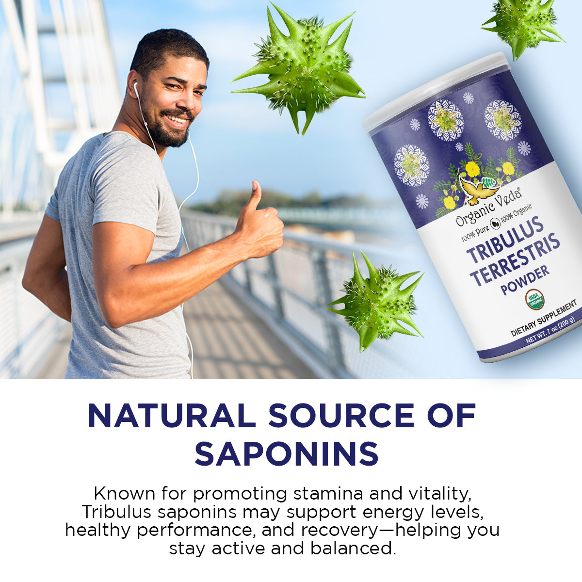 Tribulus Terrestris Powder OrganicVeda