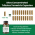 Tribulus Terrestris Max Strength Capsules OrganicVeda