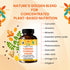 Turmeric Moringa Ginger Capsules OrganicVeda