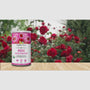 Rose Petal Powder